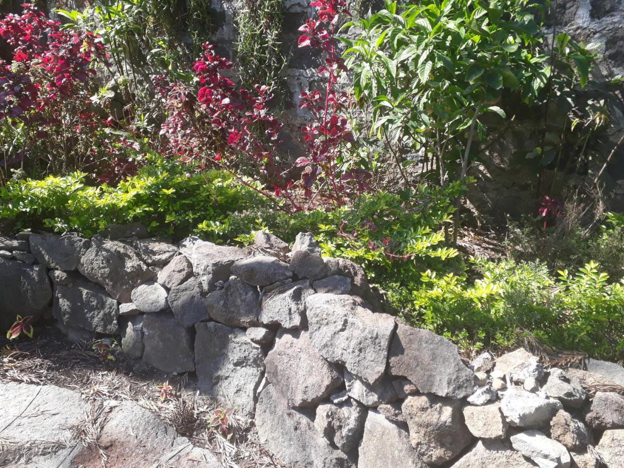 Hotel Y Bungalows Ecologicos Marcelo Santiago Atitlán Exteriér fotografie